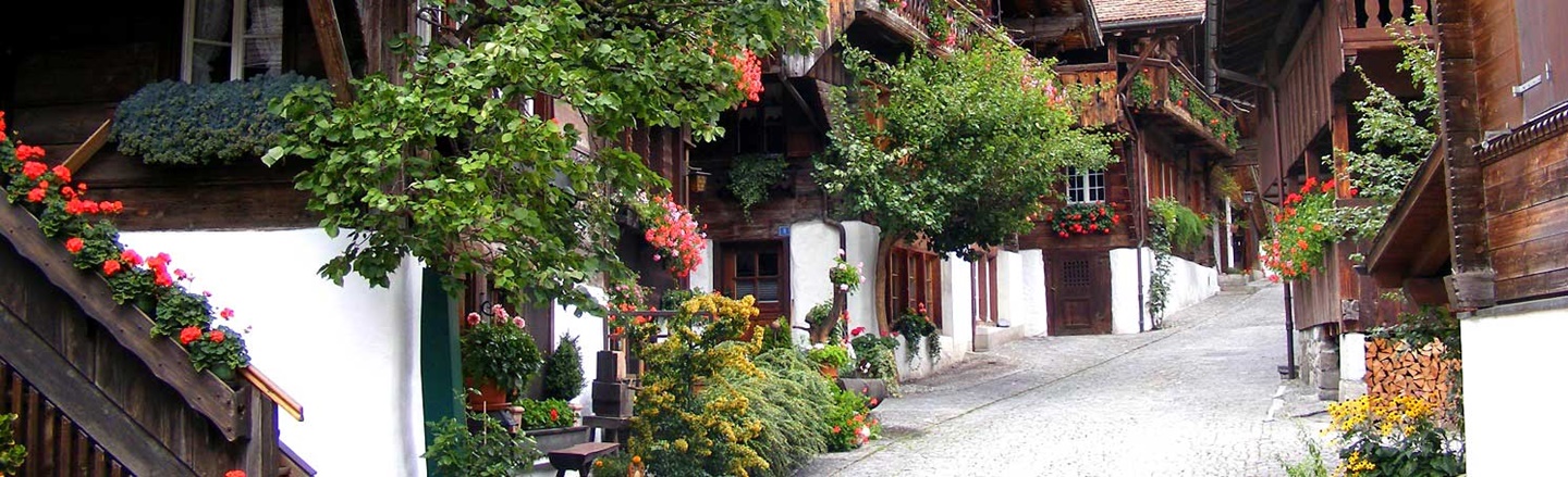 Ortsansicht des charmanten, mit Blumen geschmückten Chaletdorfes Brienz.