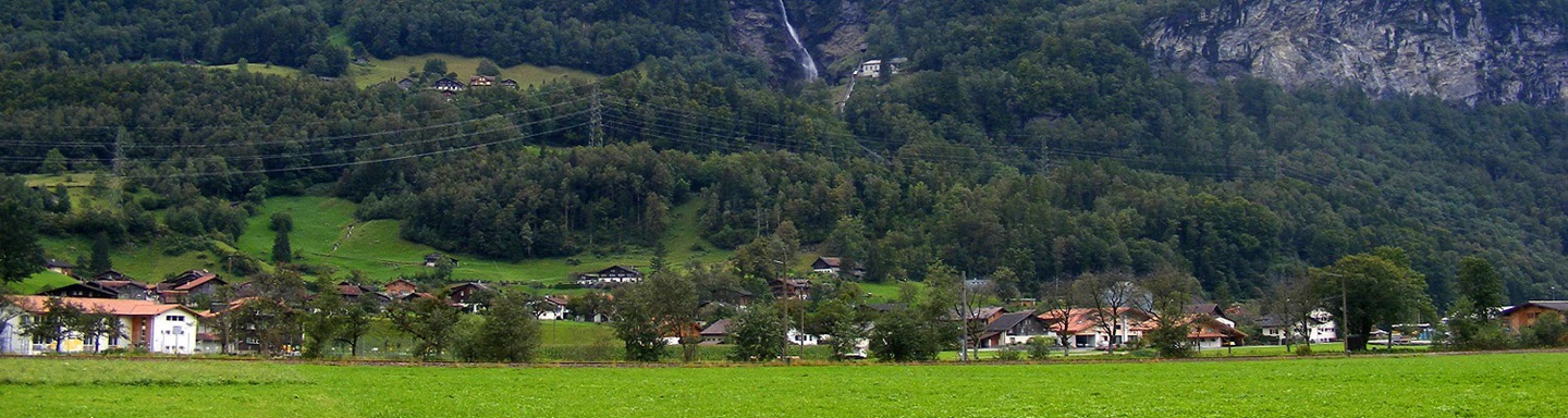 Einblick in die tiefgrüne Aare-Ebene.