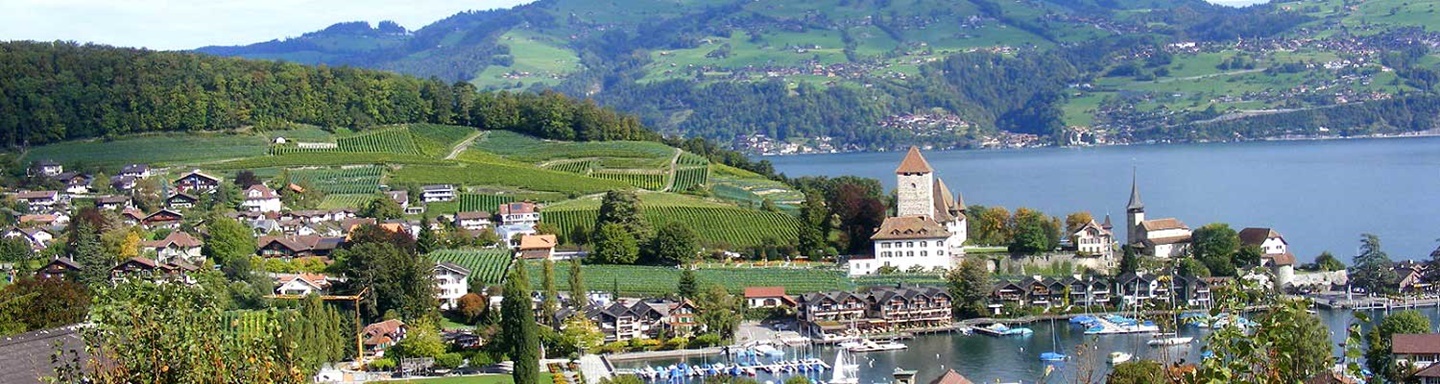 Blick auf das von Weinbergen umrahmte Dörfchen Spiez am Thunersee