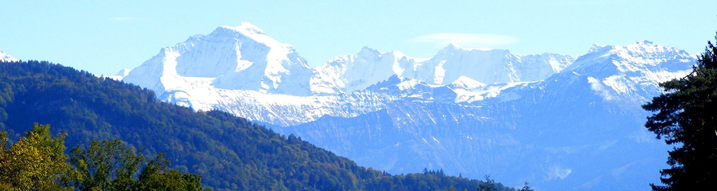 Sattgrüne Wälder mit schneebedeckten Alpengipfeln im Hintergrund.