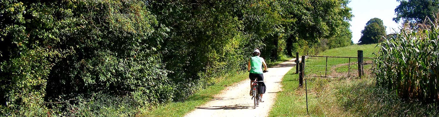 Radlerin auf der von Bäumen gesäumten Aare-Route