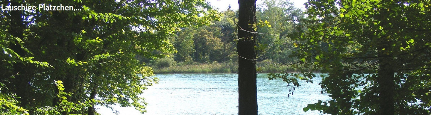 Idyllisch von Bäumen eingerahmte Wasserfläche