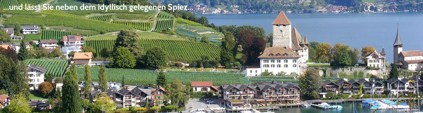 Blick auf das von Weinbergen eingerahmte, am Ufer des Brienzersees gelegene Örtchen Spiez