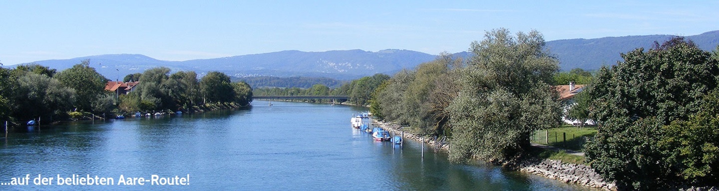 Blick auf die sich dahinschlängelnde Aare