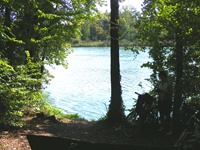 Idyllischer Blick auf die von tiefgrünen Bäumen eingerahmte Wasserfläche der Aare